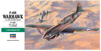 P-40E Warhawk (U.S. Army Air Force Fighter)